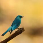 SpK-Ct7y9cbuZNTS5mjSoh6hk6dZuYzVRjxFaF1fjg2OWtk2PVxqXMvsaLoJyOFUyGDkNYyhjIyIri2nqJoCG6OA-xmxk3uVw76wnidmmdI