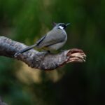 SuxkeFc1pn3bSJKs7whJT2n6vVJ7qIB1dF3aJ-P_lxEUpMcJlDkHg1amkU9D3cf0L8d7B_71hjxXaPyxwxJE-5--Kj0qXEBkjPcz1JMbROg