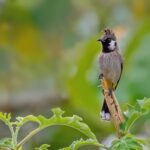 jSTcGKl4QuornFME_5LJWkHqQlnIfPdIr95ZHxE1tUlr6vkXM1UbGpxrnYWZ8EKkxOw3iB7hxrXvLw5TwUMYK5GUQDKF6V9RA_dHWyBZ-uI (2)