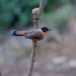 kf-xSQqNamDySzEHXICzn1nFsXguOZ6yMi6vZscyGddRmUAKccUWh1MS4TQ__QSaHXmXblM4kSPjGhu9BYwhROZKWTUtzawmWhjNmsioC_k