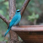 lpprtr-eAlVNF6NTtM9l8grHCGihERNIa6zbTXfNvSq83r3fIB8NyO1SS6ubwOveRvkw9K7_EaOJ5Ibnxt6KhmIL_qrPVpZzseo8f-541iI